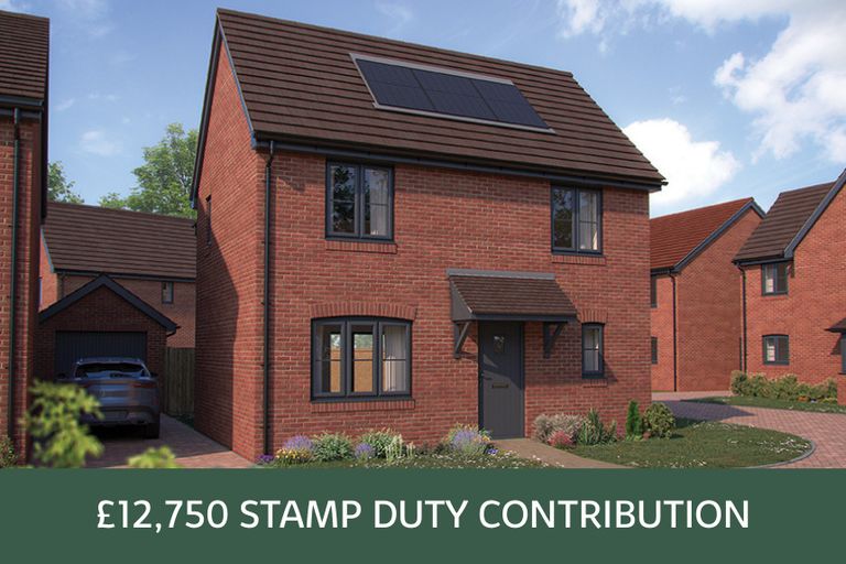 Property 1 of 11. Wm - Sage P753