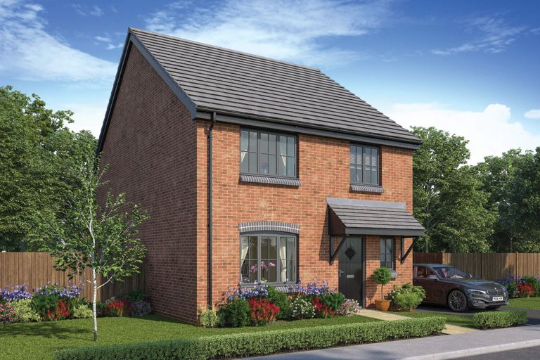 Property 2 of 13. CGI
