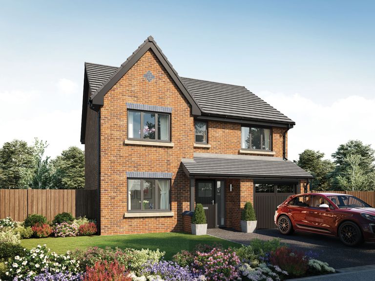 Property 1 of 12. CGI