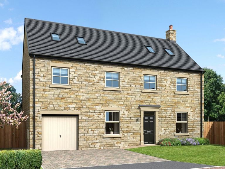 Property 1 of 17. Iris External