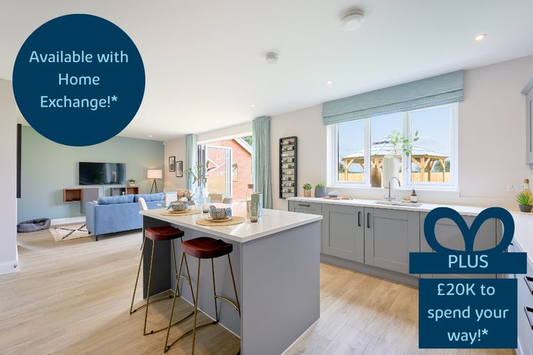 Property 1 of 11. Vdsw Bh Dbid Birch Hero 1 (1)