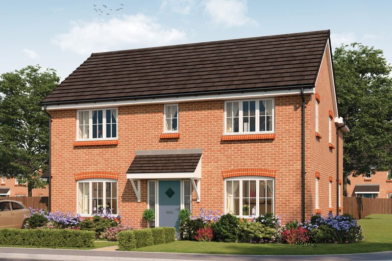 Property 1 of 15. CGI