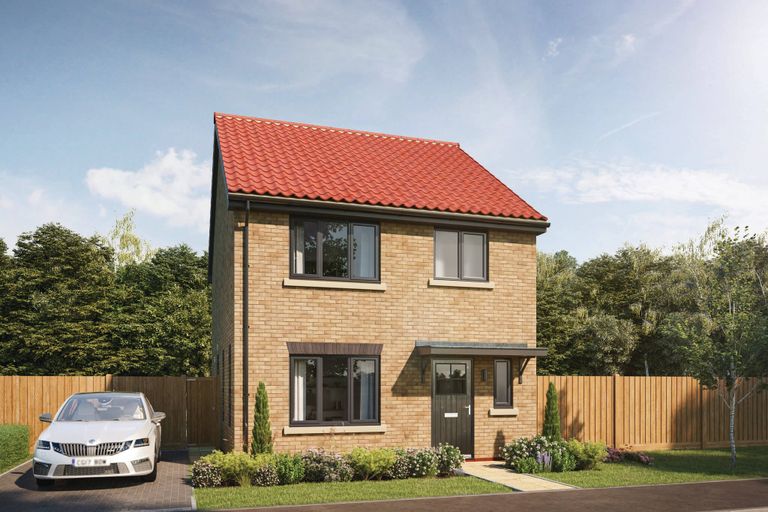 Property 1 of 12. CGI Image