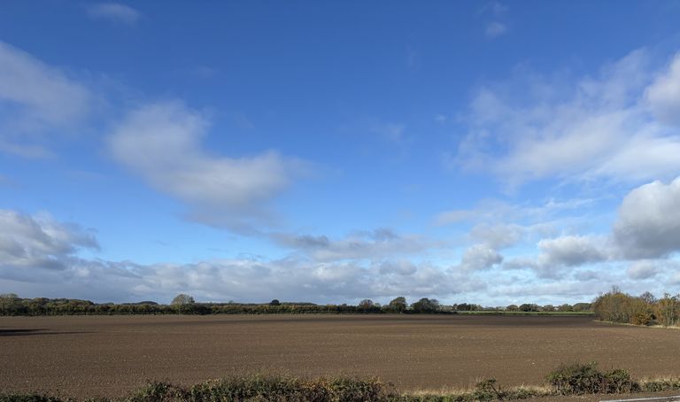 Property 1 of 10. Poppy Field View Image