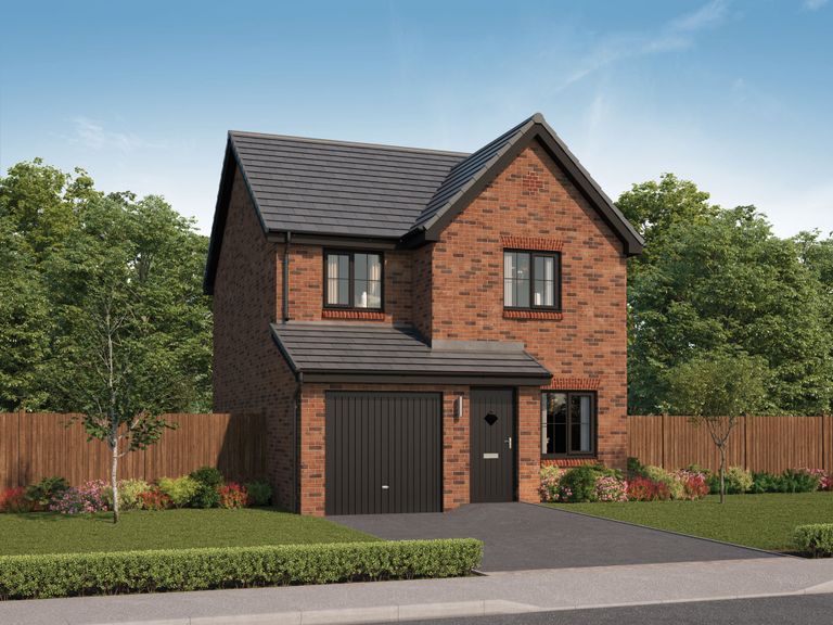 Property 2 of 10. CGI