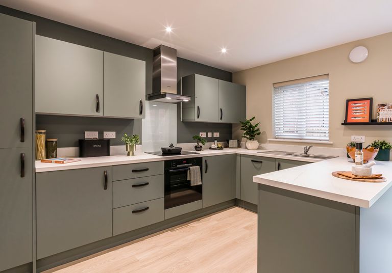 Property 3 of 9. The Jackdaw022