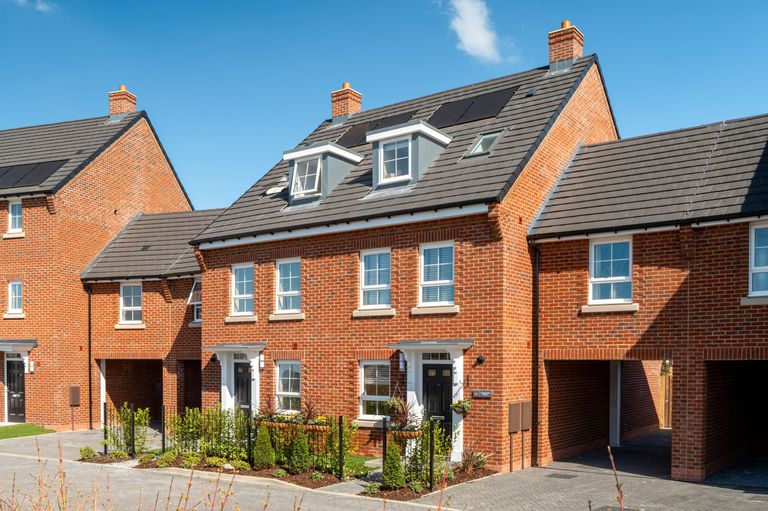 Property 1 of 8. Rochester Special - Pennyroyal Green
