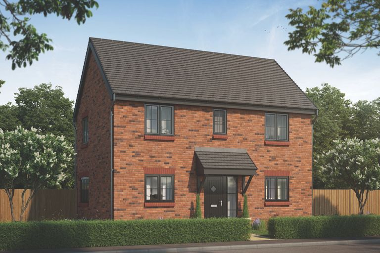 Property 1 of 10. CGI