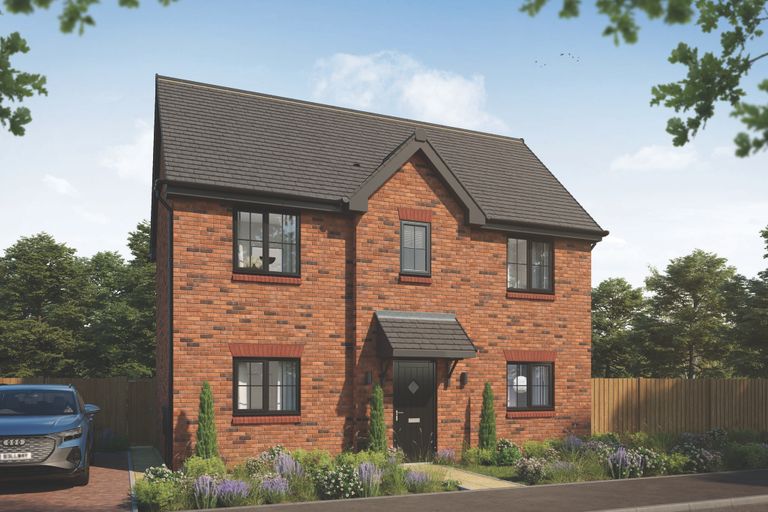 Property 2 of 10. CGI