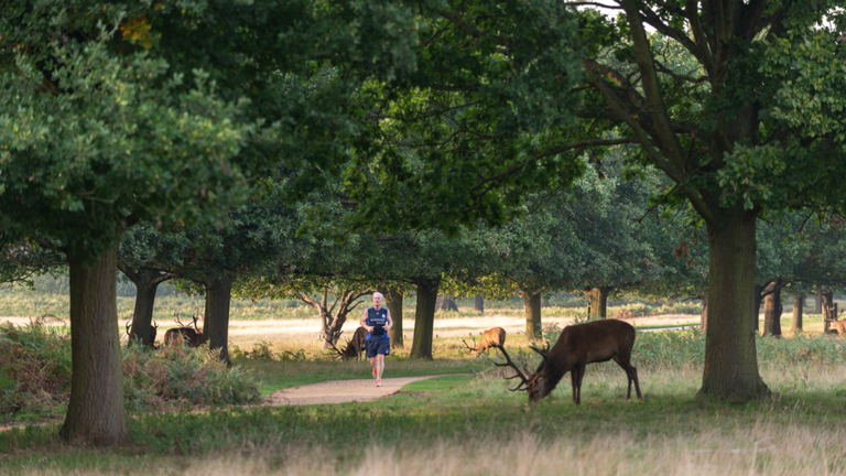 Property 3 of 8. Plot Image