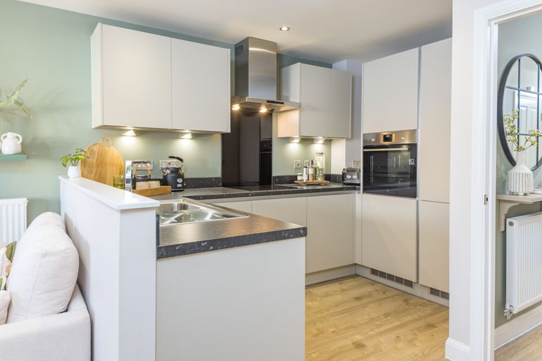 Property 3 of 10. Dwh_Afonlas_Cannington Kitchen