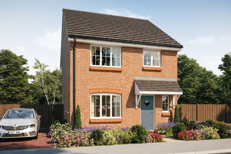 Property 2 of 10. CGI