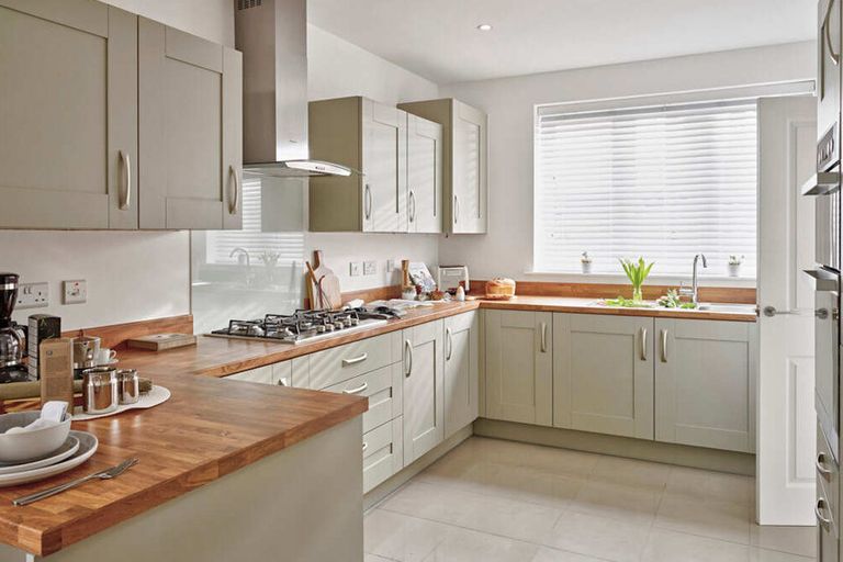 Property 3 of 9. Chestnut_Essi (20)_Housetype_Plot_-_Hero_860x573 (1)