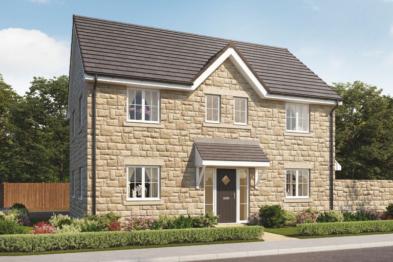 Property 1 of 11. CGI