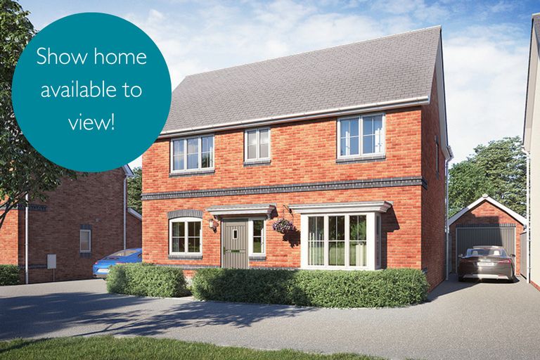 Property 1 of 11. Vdsw CH Igrove Bowmont