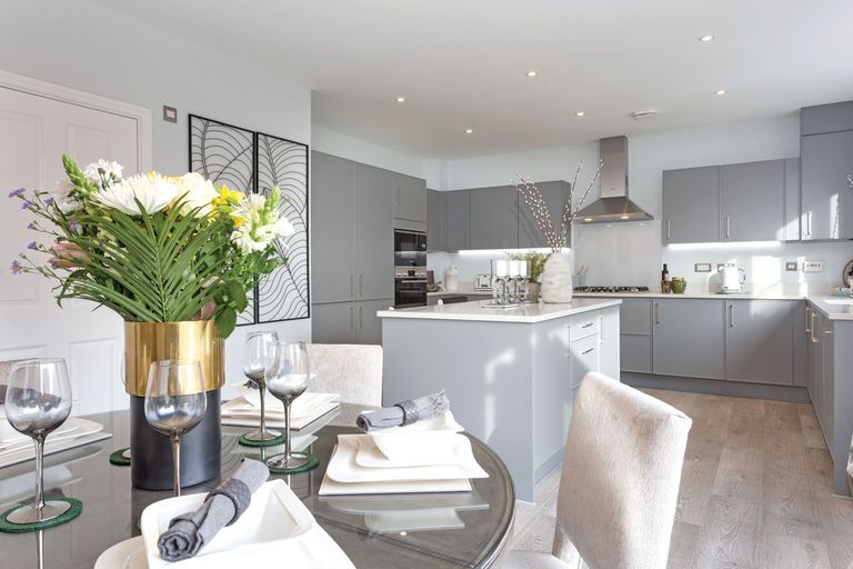 Property 3 of 11. Birch_010