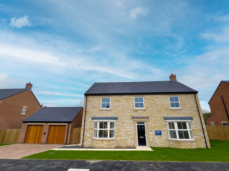 Property 1 of 17. Rose Plot 7 External