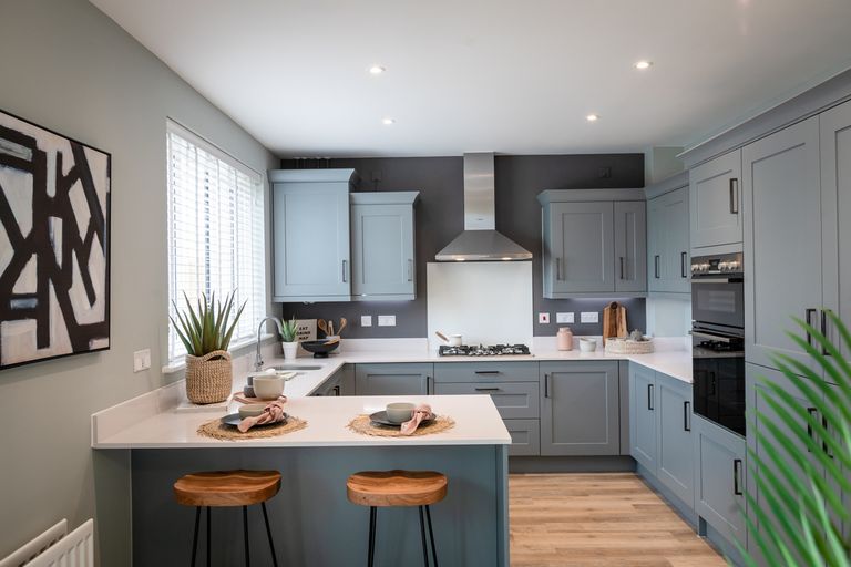 Property 3 of 8. Bviswdnortaspen (10)