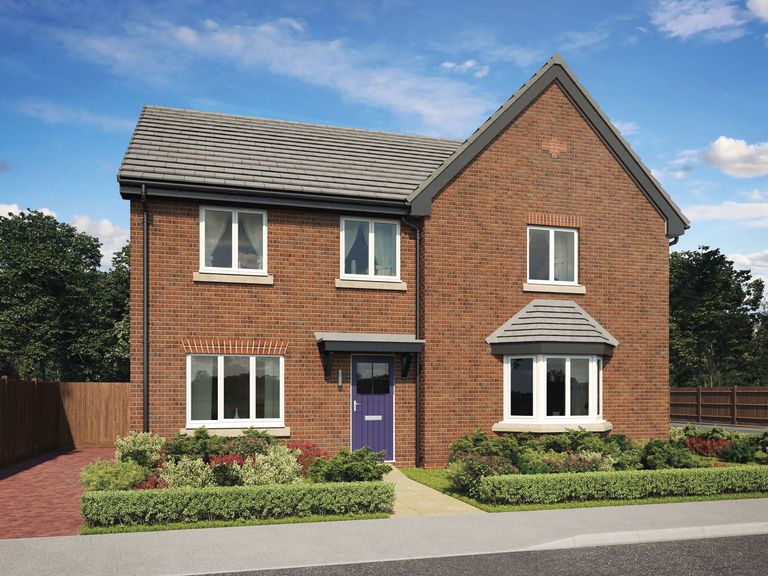 Property 2 of 11. CGI