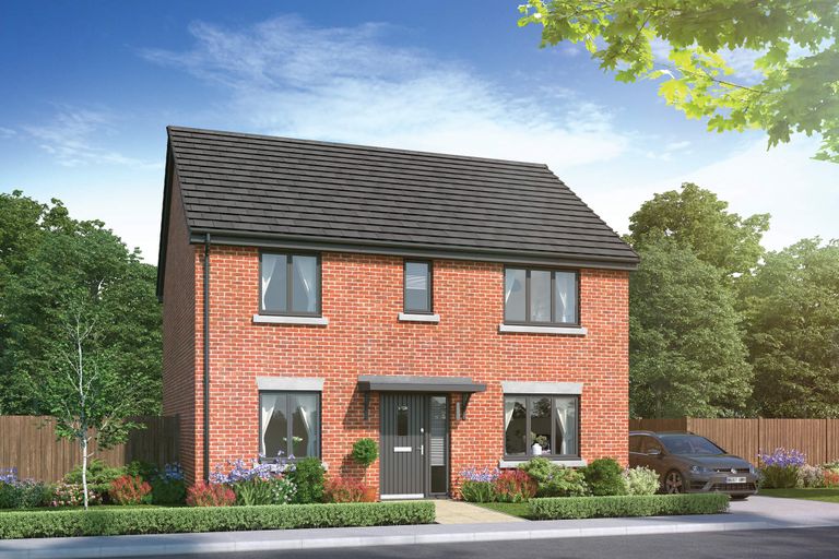 Property 2 of 14. CGI