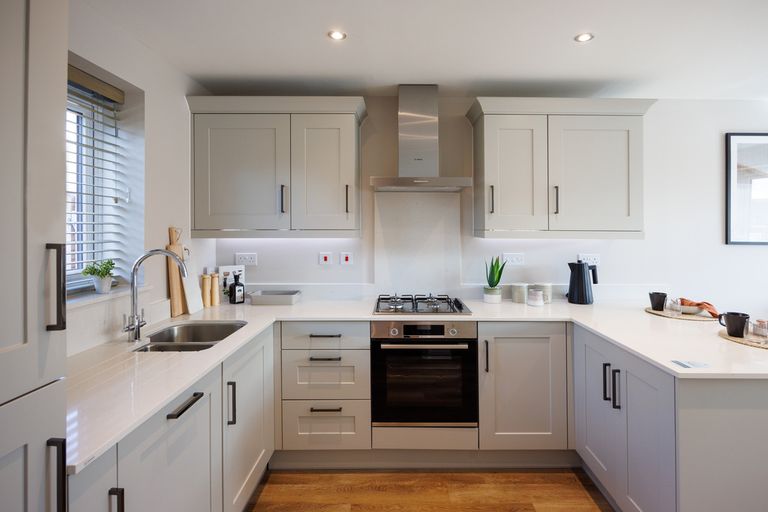 Property 3 of 10. B Vdsw Ogrove Spruce