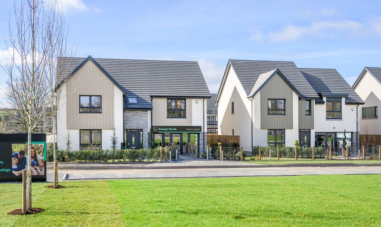Property 3 of 13. Ballagan Woods, Killearn
