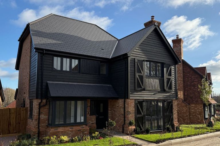 Property 1 of 12. Juniper