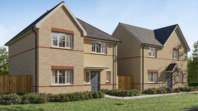 Property 2 of 4. Plot Image