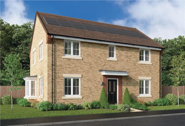 Property 1 of 10. Representative Image