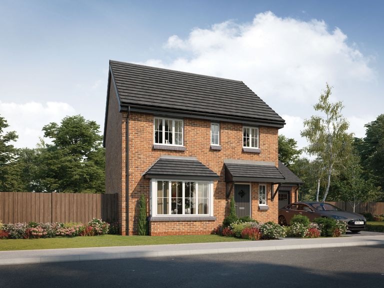 Property 2 of 16. CGI
