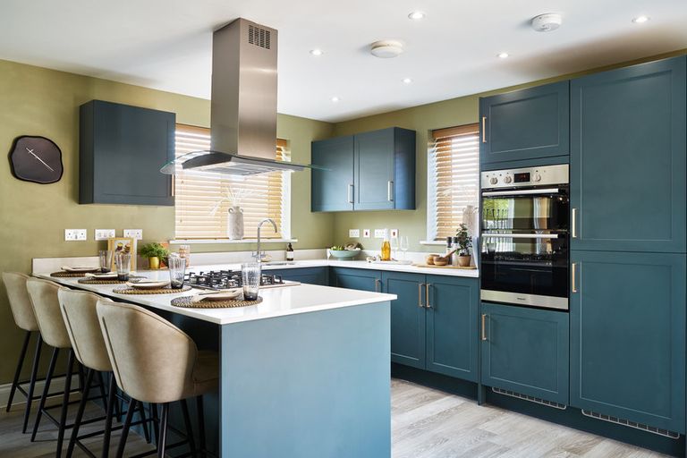 Property 3 of 11. Countryside Chapel Gate Olympia112543_Housetype_Plot_-_Hero_860x573