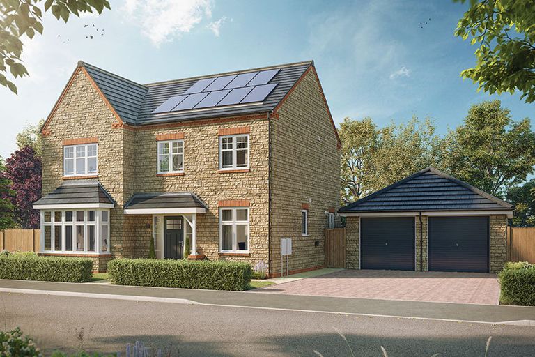 Property 1 of 11. Maple-CGI