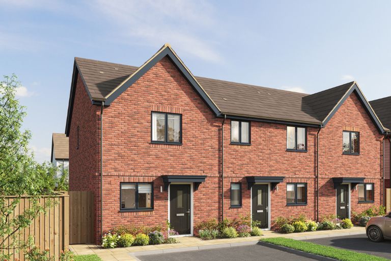 Property 1 of 6. Gwg The Hazel CGI
