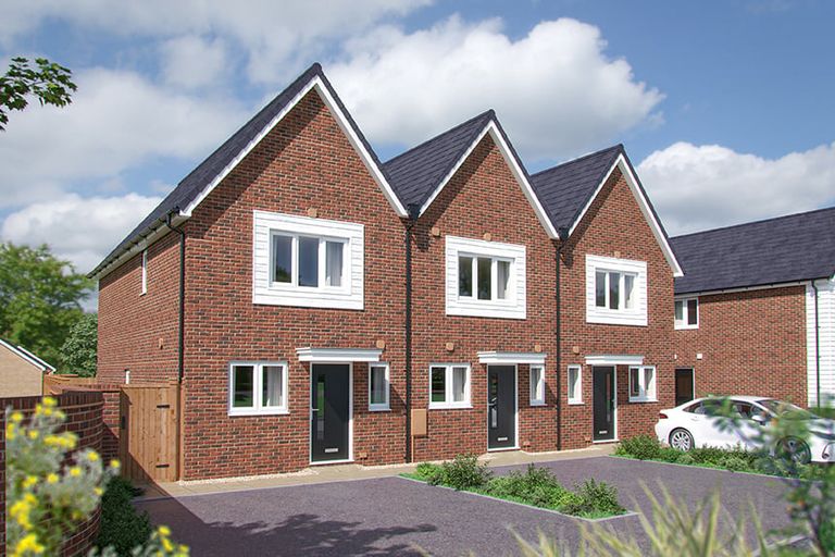 Property 1 of 5. Sorrel CGI