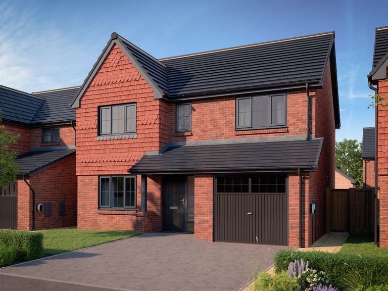 Property 2 of 19. CGI