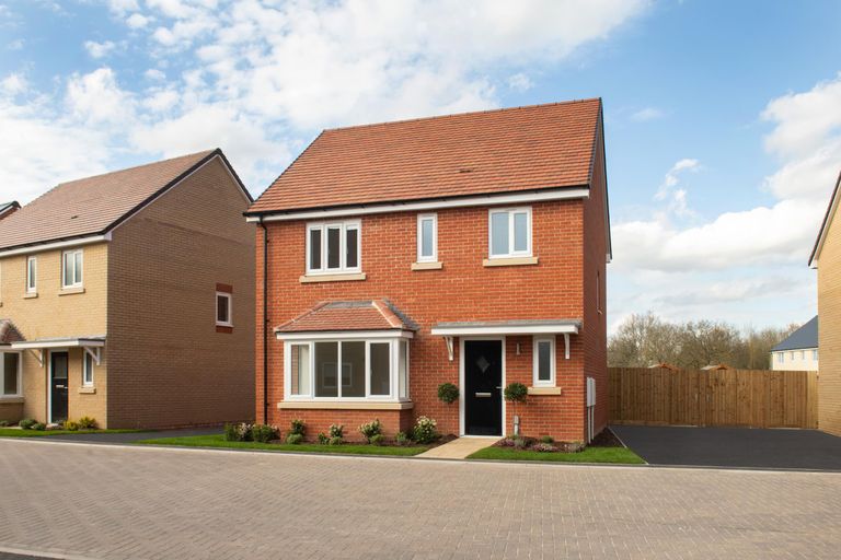 Property 1 of 14. The Larkspur