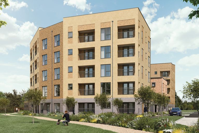 Property 2 of 13. CGI