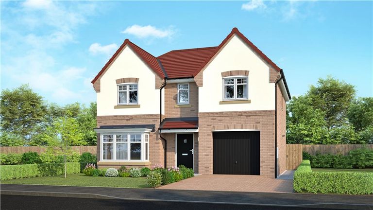 Property 1 of 16. Representative Image