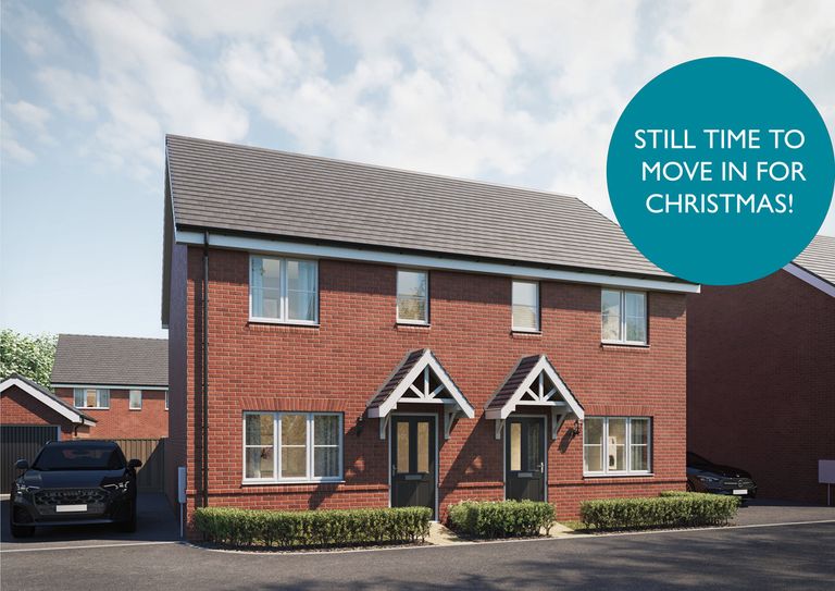 Property 1 of 8. Wp Forget Me Not Xmas