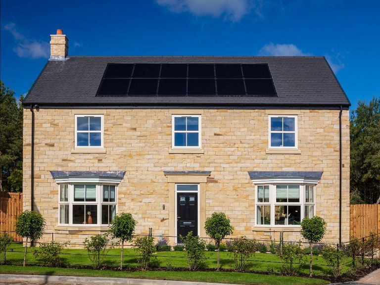 Property 1 of 15. Rose External