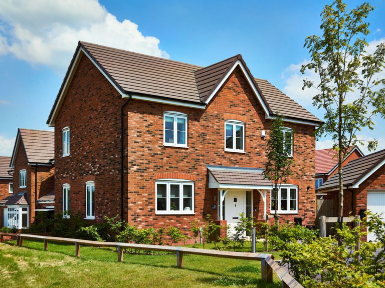 Property 1 of 10. Chestnut