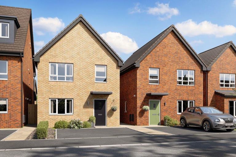 Property 1 of 10. CGI