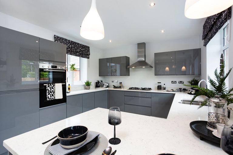 Property 2 of 11. Maple_06