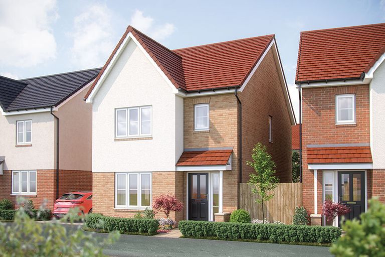 Property 2 of 7. Cypress-CGI