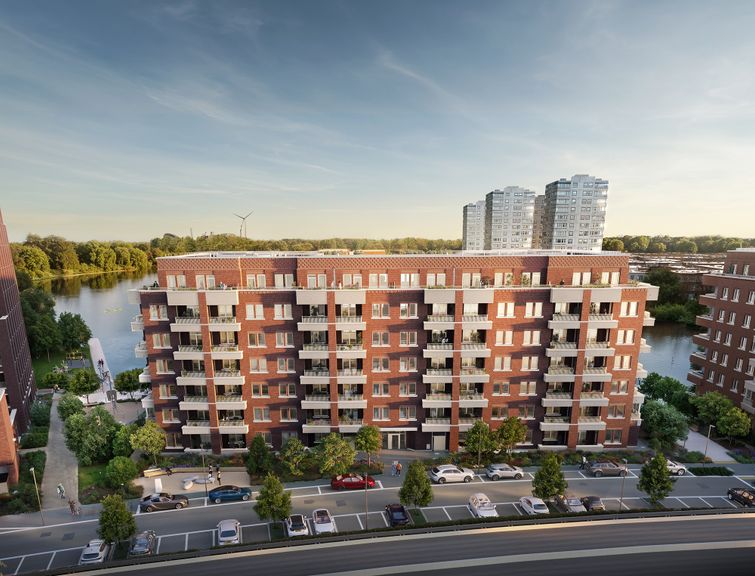 Property 3 of 11. Images