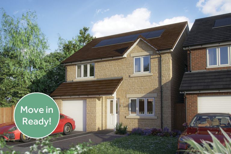 Property 1 of 8. Bbf Plot 15