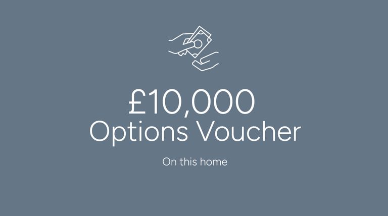 Property 2 of 10. A £10,000 Options Voucher On A Gray Background.