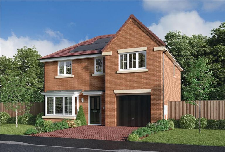 Property 1 of 12. Representative Image