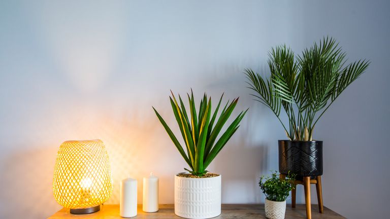 Property 2 of 6. Plot Image