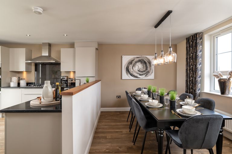 Property 3 of 10. Duns Show Home